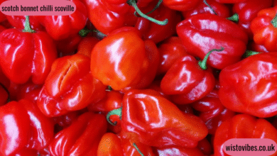 scotch bonnet chilli scoville
