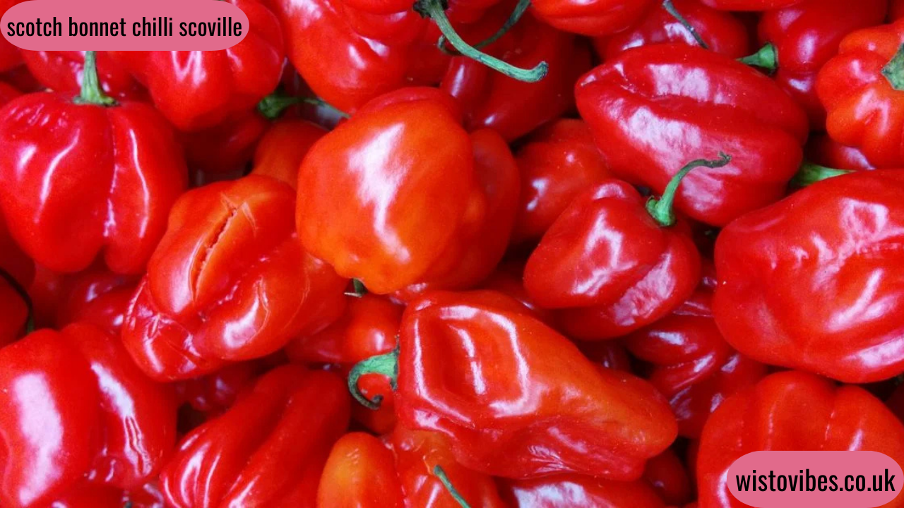 scotch bonnet chilli scoville