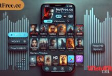 NetFree.cc
