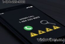 1-484-205-9003