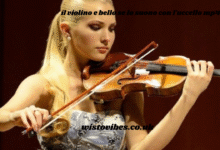 il violino e bello se lo suono con l'uccello mp4