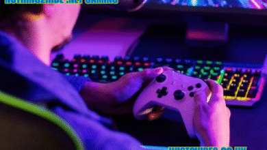 nothing2hide .net gaming