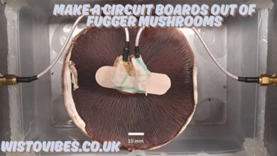 make a circuit boards out of fugger mushrooms
