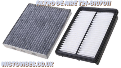 filtro de aire t21-b107011