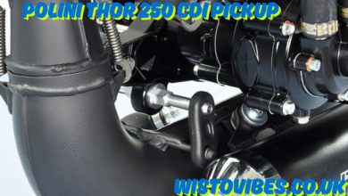 polini thor 250 cdi pickup
