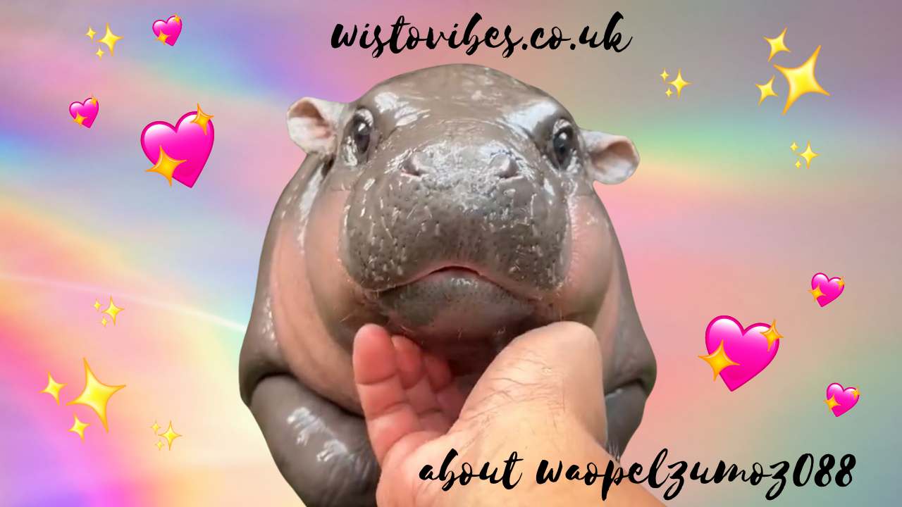 about waopelzumoz088