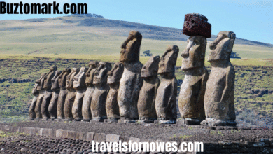 travelsfornowes.com