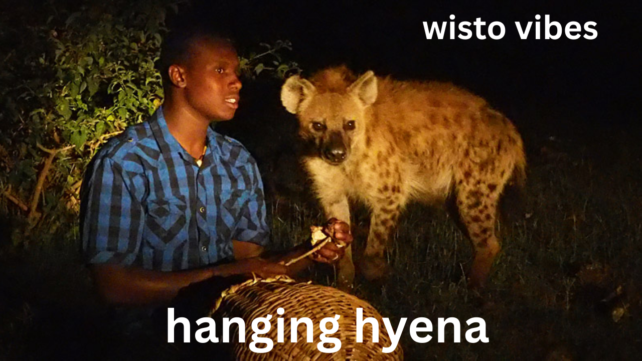 hanging hyena