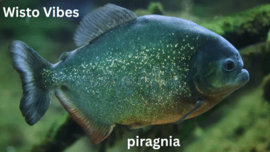 piragnia