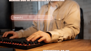 search box optimization byrankstar