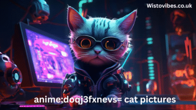 anime:doqj3fxnevs= cat pictures