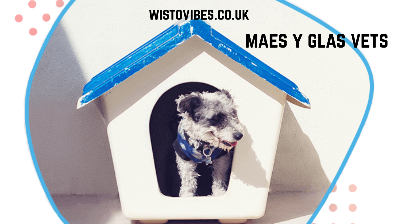 maes y glas vets