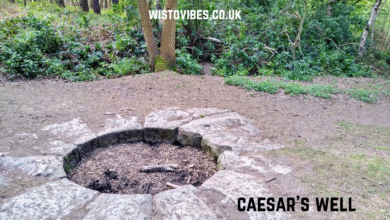 caesar's well