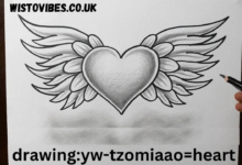 drawing:yw-tzomiaao= heart