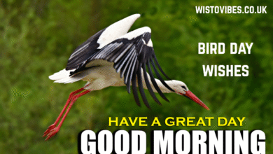 bird day wishes