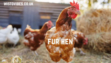 fur hen