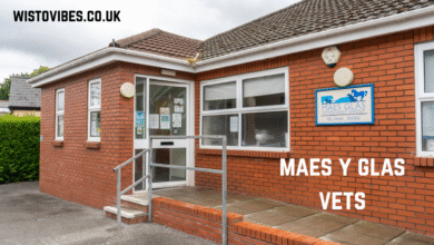 maes y glas vets
