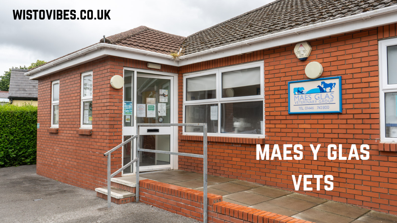 maes y glas vets